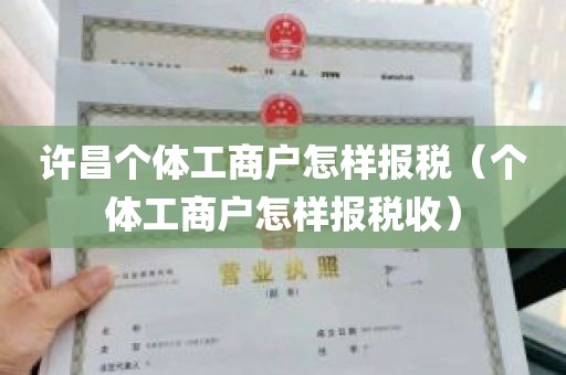 许昌个体工商户怎样报税（个体工商户怎样报税收）