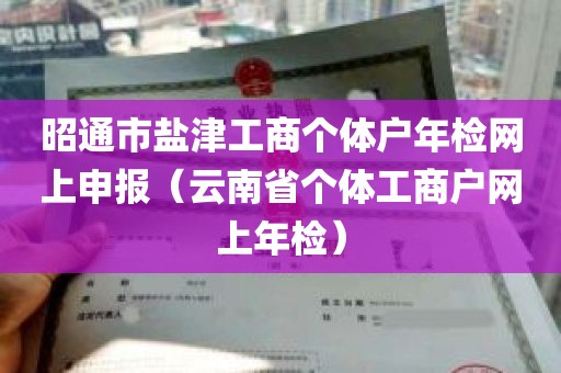 昭通市盐津工商个体户年检网上申报（云南省个体工商户网上年检）