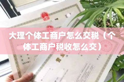 大理个体工商户怎么交税（个体工商户税收怎么交）