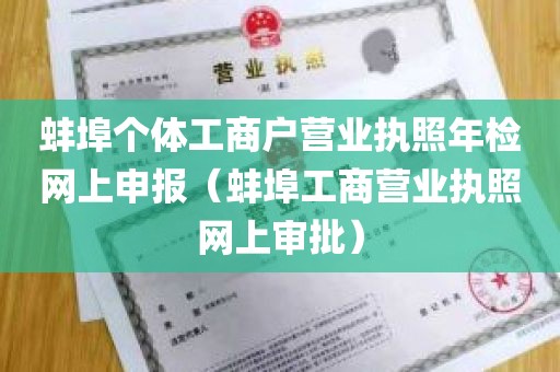 蚌埠个体工商户营业执照年检网上申报（蚌埠工商营业执照网上审批）