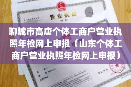 聊城市高唐个体工商户营业执照年检网上申报（山东个体工商户营业执照年检网上申报）