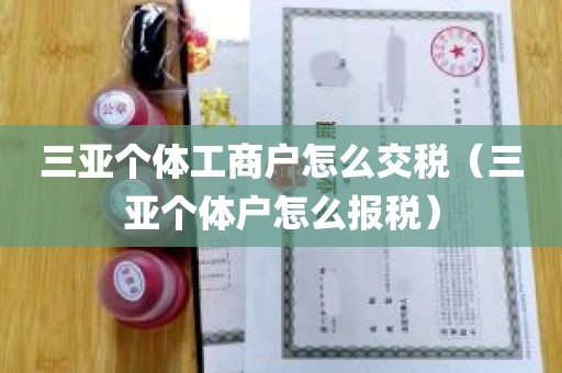 三亚个体工商户怎么交税（三亚个体户怎么报税）