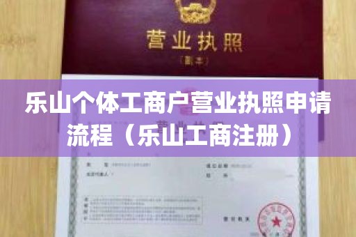 乐山个体工商户营业执照申请流程（乐山工商注册）