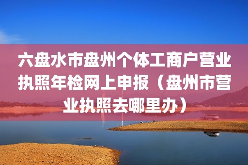 六盘水市盘州个体工商户营业执照年检网上申报（盘州市营业执照去哪里办）