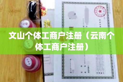 文山个体工商户注册（云南个体工商户注册）