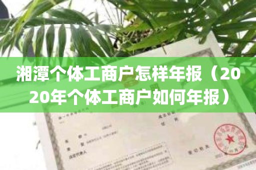 湘潭个体工商户怎样年报（2020年个体工商户如何年报）