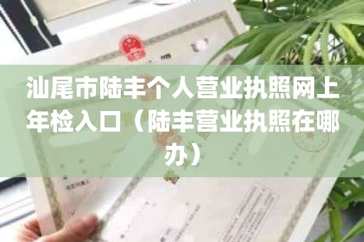 汕尾市陆丰个人营业执照网上年检入口（陆丰营业执照在哪办）