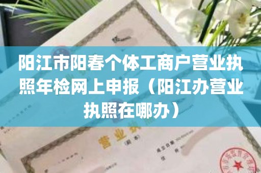 阳江市阳春个体工商户营业执照年检网上申报（阳江办营业执照在哪办）