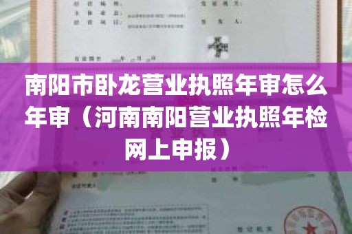 南阳市卧龙营业执照年审怎么年审（河南南阳营业执照年检网上申报）