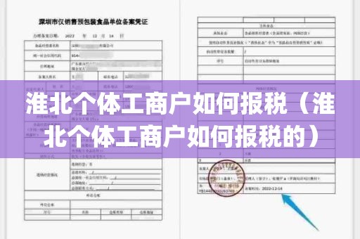 淮北个体工商户如何报税（淮北个体工商户如何报税的）