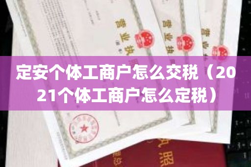 定安个体工商户怎么交税（2021个体工商户怎么定税）