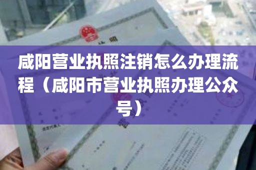 咸阳营业执照注销怎么办理流程（咸阳市营业执照办理公众号）