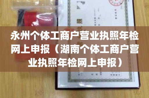 永州个体工商户营业执照年检网上申报（湖南个体工商户营业执照年检网上申报）