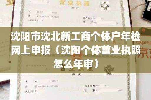 沈阳市沈北新工商个体户年检网上申报（沈阳个体营业执照怎么年审）