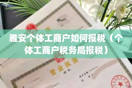 雅安个体工商户如何报税（个体工商户税务局报税）