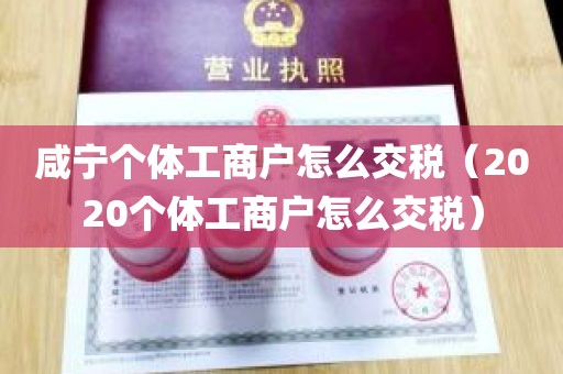 咸宁个体工商户怎么交税（2020个体工商户怎么交税）