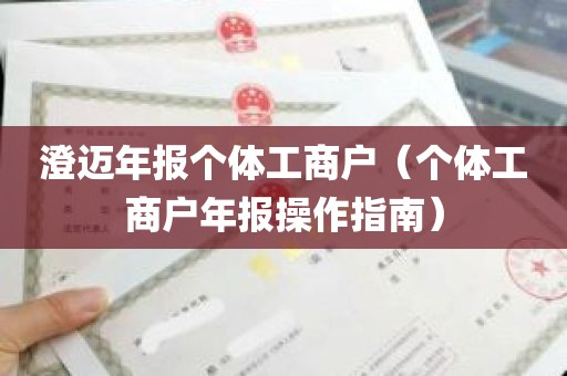 澄迈年报个体工商户（个体工商户年报操作指南）