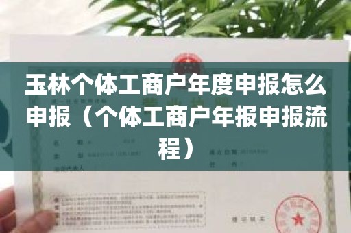 玉林个体工商户年度申报怎么申报（个体工商户年报申报流程）