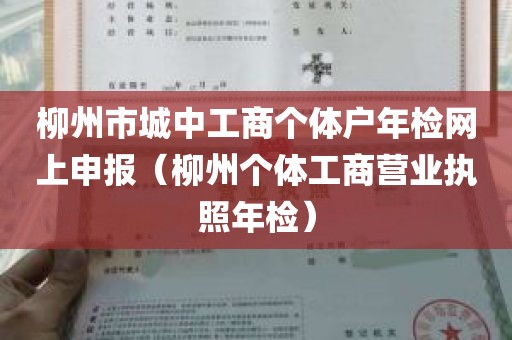 柳州市城中工商个体户年检网上申报（柳州个体工商营业执照年检）