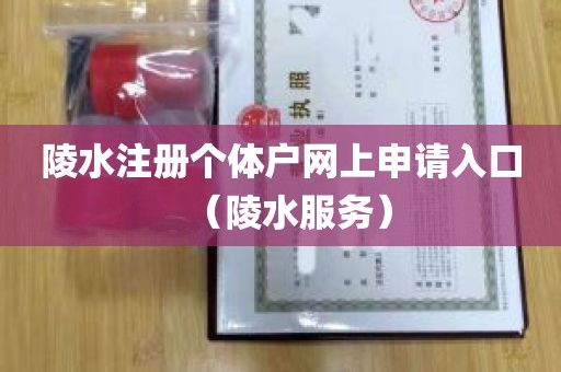 陵水注册个体户网上申请入口（陵水服务）