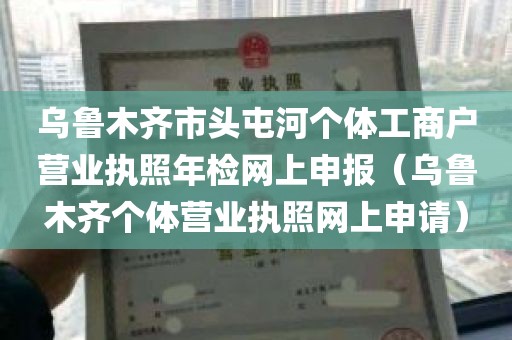 乌鲁木齐市头屯河个体工商户营业执照年检网上申报（乌鲁木齐个体营业执照网上申请）