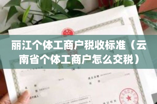 丽江个体工商户税收标准（云南省个体工商户怎么交税）