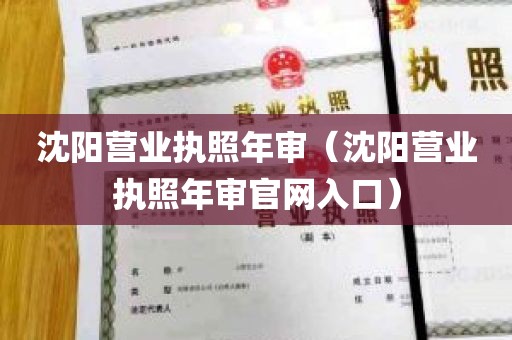 沈阳营业执照年审（沈阳营业执照年审官网入口）