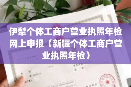 伊犁个体工商户营业执照年检网上申报（新疆个体工商户营业执照年检）