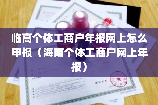 临高个体工商户年报网上怎么申报（海南个体工商户网上年报）