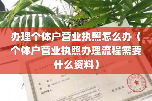 办理个体户营业执照怎么办（个体户营业执照办理流程需要什么资料）