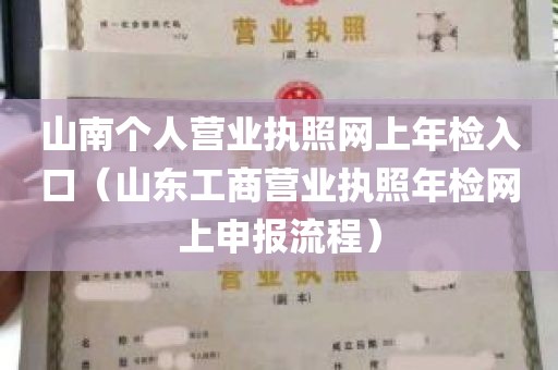 山南个人营业执照网上年检入口（山东工商营业执照年检网上申报流程）