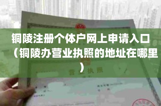 铜陵注册个体户网上申请入口（铜陵办营业执照的地址在哪里）