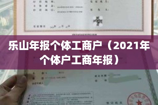 乐山年报个体工商户（2021年个体户工商年报）