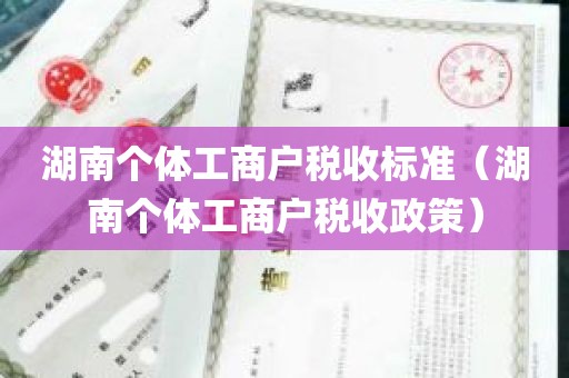 湖南个体工商户税收标准（湖南个体工商户税收政策）