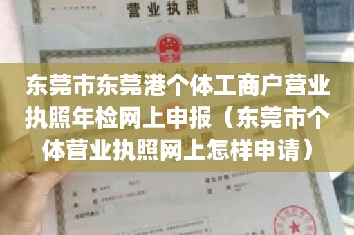 东莞市东莞港个体工商户营业执照年检网上申报（东莞市个体营业执照网上怎样申请）