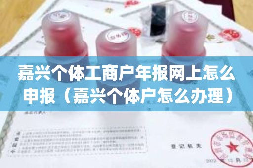 嘉兴个体工商户年报网上怎么申报（嘉兴个体户怎么办理）