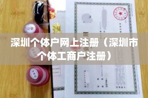 深圳个体户网上注册（深圳市个体工商户注册）