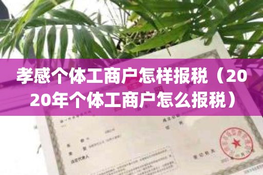 孝感个体工商户怎样报税（2020年个体工商户怎么报税）