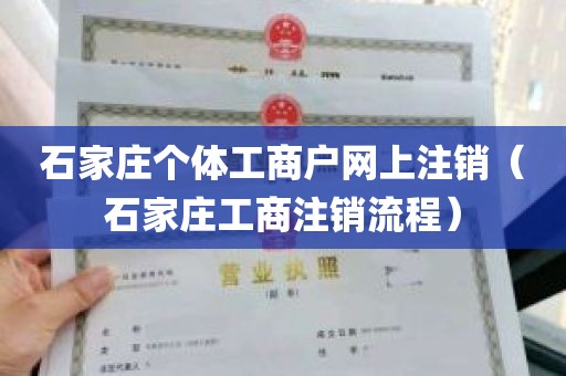 石家庄个体工商户网上注销（石家庄工商注销流程）