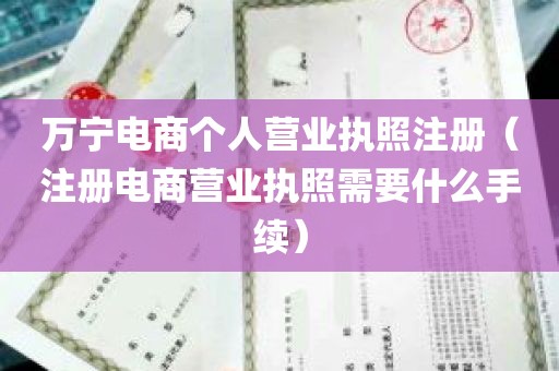 万宁电商个人营业执照注册（注册电商营业执照需要什么手续）