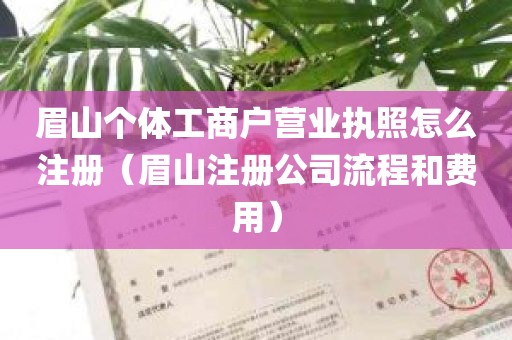 眉山个体工商户营业执照怎么注册（眉山注册公司流程和费用）