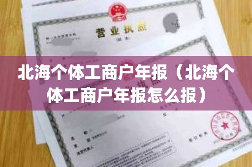 北海个体工商户年报（北海个体工商户年报怎么报）