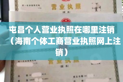 屯昌个人营业执照在哪里注销（海南个体工商营业执照网上注销）