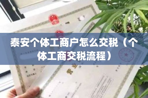 泰安个体工商户怎么交税（个体工商交税流程）