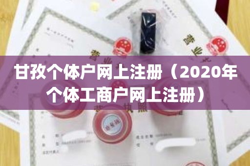 甘孜个体户网上注册（2020年个体工商户网上注册）