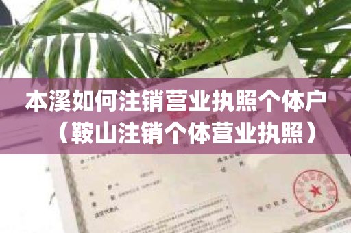 本溪如何注销营业执照个体户（鞍山注销个体营业执照）