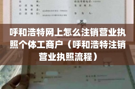 呼和浩特网上怎么注销营业执照个体工商户（呼和浩特注销营业执照流程）