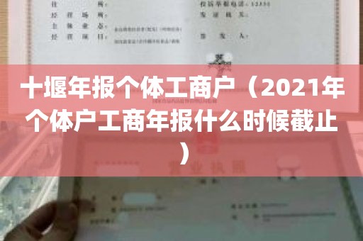 十堰年报个体工商户（2021年个体户工商年报什么时候截止）