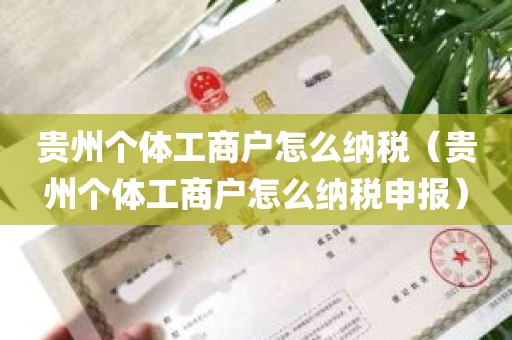 贵州个体工商户怎么纳税（贵州个体工商户怎么纳税申报）