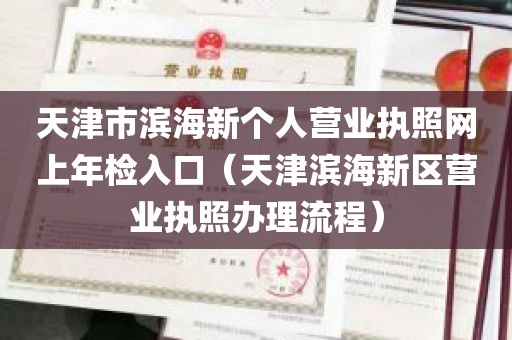 天津市滨海新个人营业执照网上年检入口（天津滨海新区营业执照办理流程）